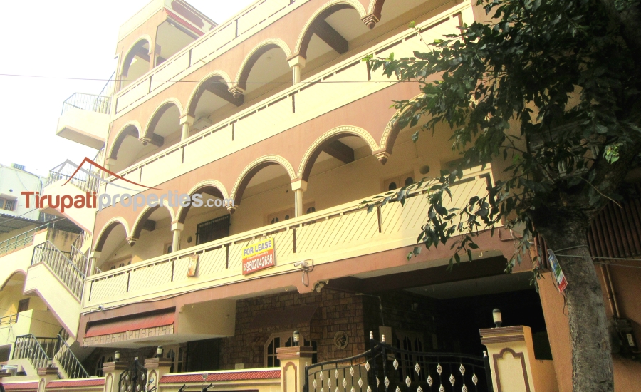 12,500 Sft G + 2 + Pent House #Semi-Commercial #BuildingforRent in Madhura Nagar, #Tirupati